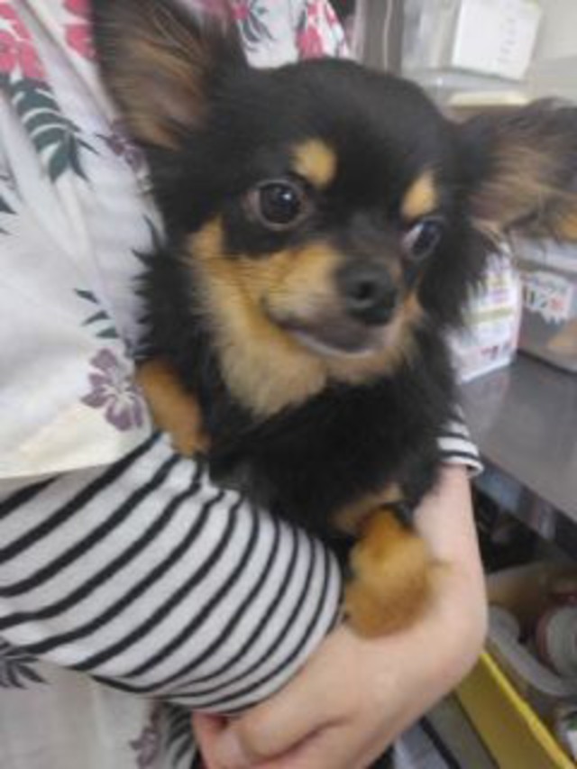 1000000482[1]-thumb-640xauto-